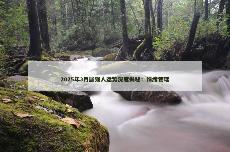 2025年3月属猴人运势深度揭秘:情绪管理