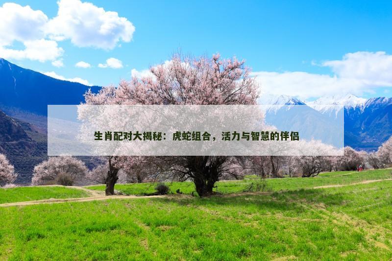 生肖配对大揭秘：虎蛇组合，活力与智慧的伴侣