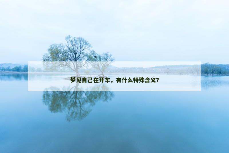 梦见自己在开车,有什么特殊含义?