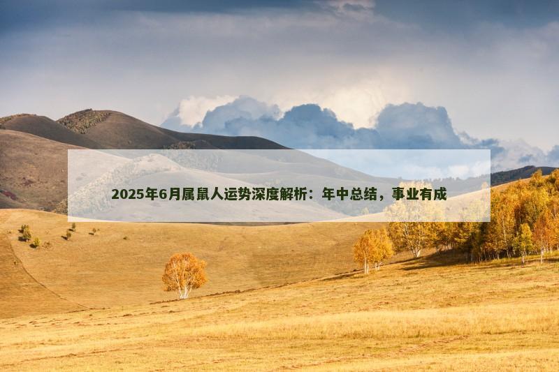 2025年6月属鼠人运势深度解析:年中总结,事业有成