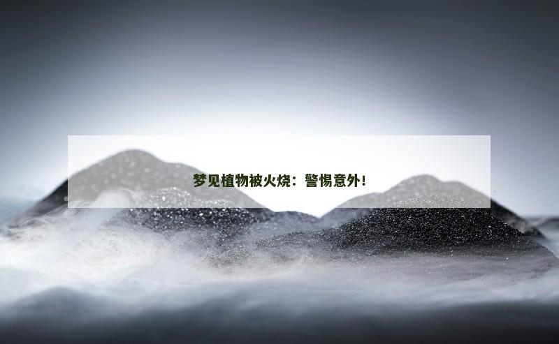 梦见植物被火烧：警惕意外！