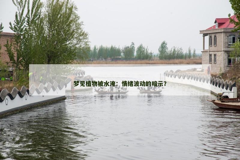 梦见植物被水淹：情绪波动的暗示？