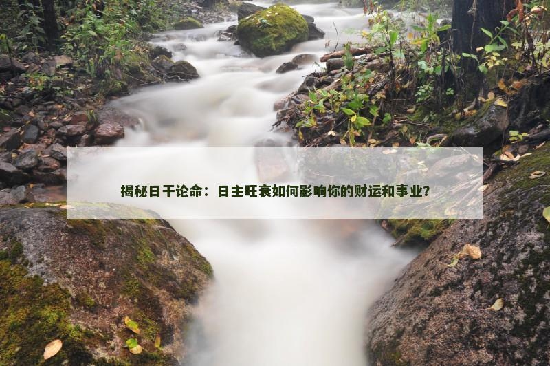 揭秘日干论命：日主旺衰如何影响你的财运和事业？