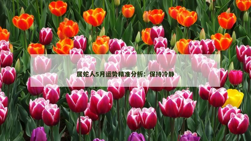 属蛇人5月运势精准分析：保持冷静