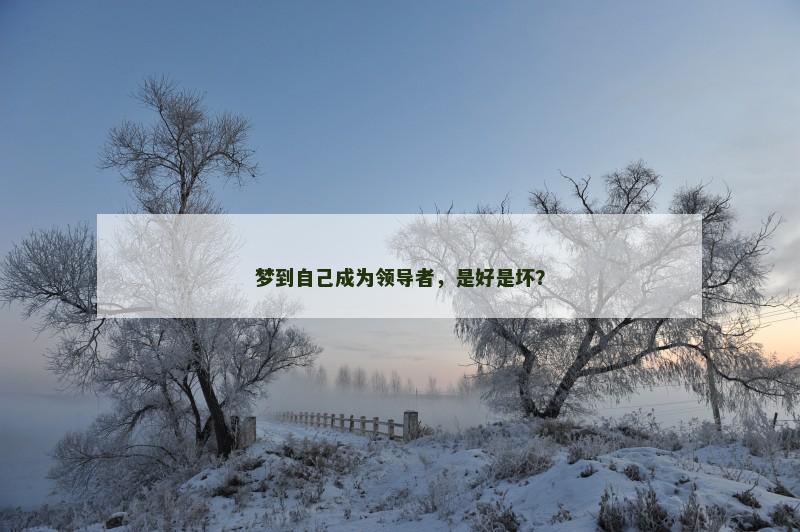 梦到自己成为领导者,是好是坏?