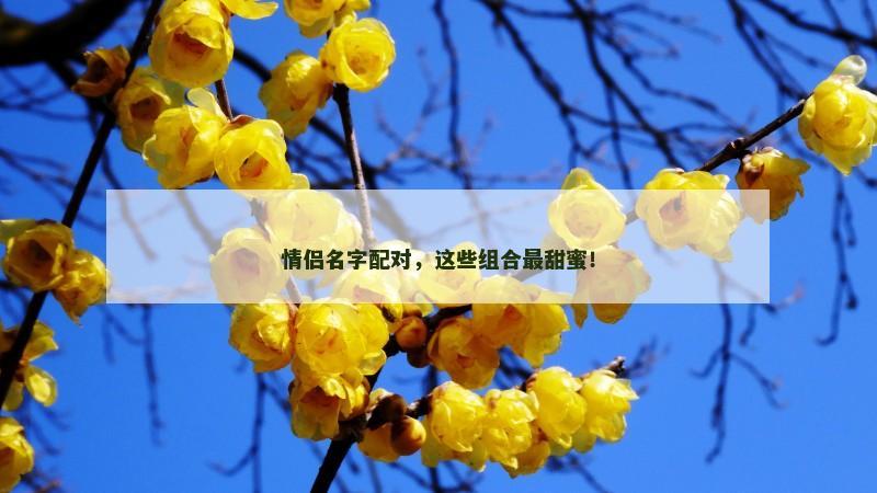 情侣名字配对，这些组合最甜蜜！