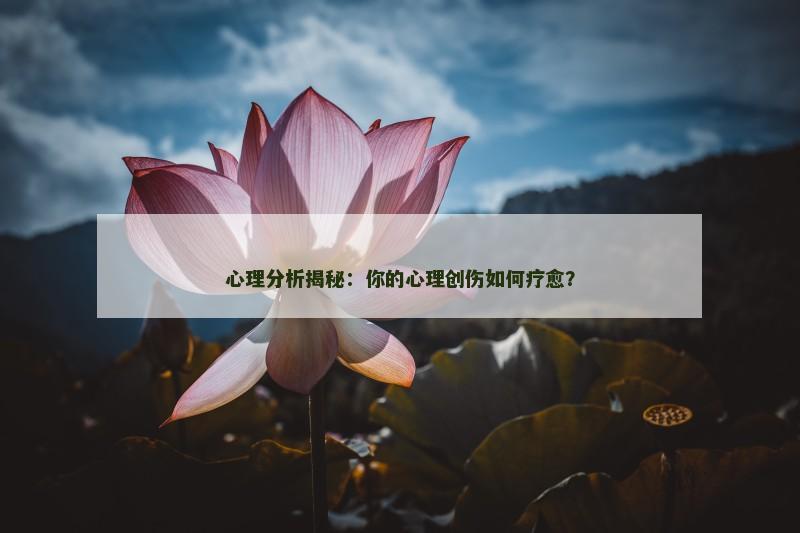 心理分析揭秘:你的心理创伤如何疗愈?