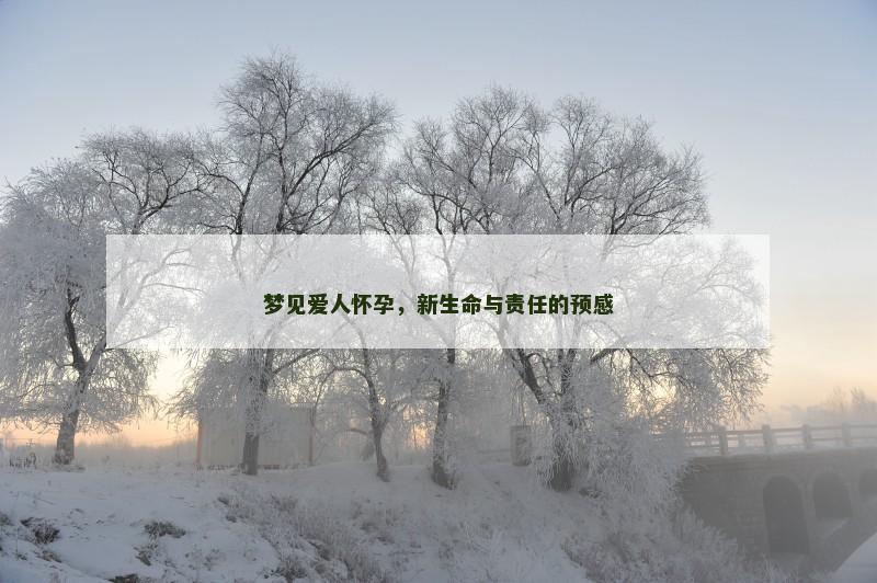 梦见爱人怀孕，新生命与责任的预感