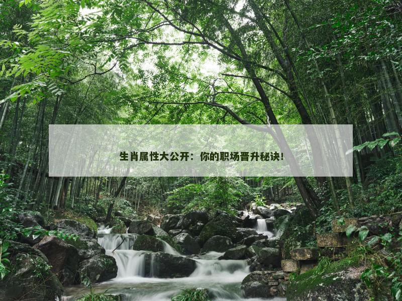 生肖属性大公开：你的职场晋升秘诀！