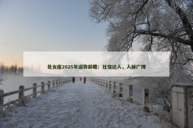 处女座2025年运势前瞻:社交达人,人脉广博