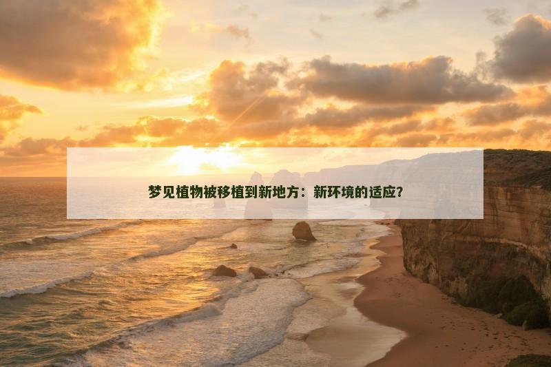 梦见植物被移植到新地方：新环境的适应？
