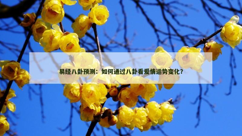 易经八卦预测：如何通过八卦看爱情运势变化？