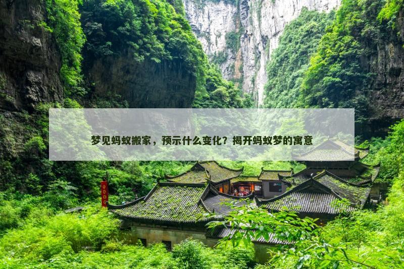 梦见蚂蚁搬家，预示什么变化？揭开蚂蚁梦的寓意