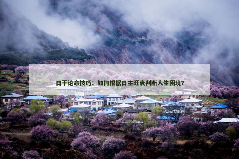 日干论命技巧：如何根据日主旺衰判断人生困境？