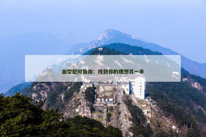 血型配对指南：找到你的理想另一半