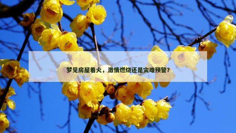 梦见房屋着火，激情燃烧还是灾难预警？