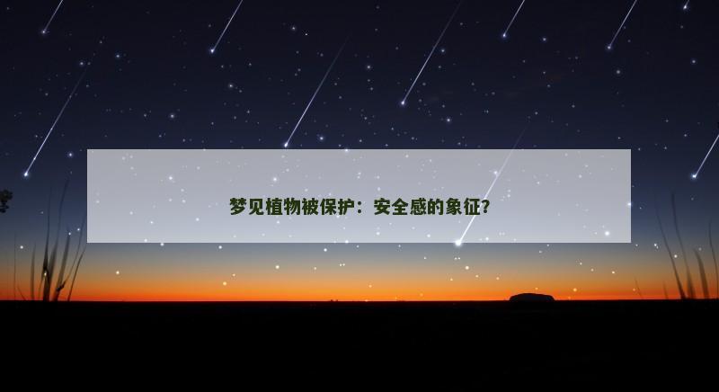 梦见植物被保护：安全感的象征？