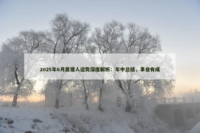 2025年6月属猪人运势深度解析：年中总结，事业有成