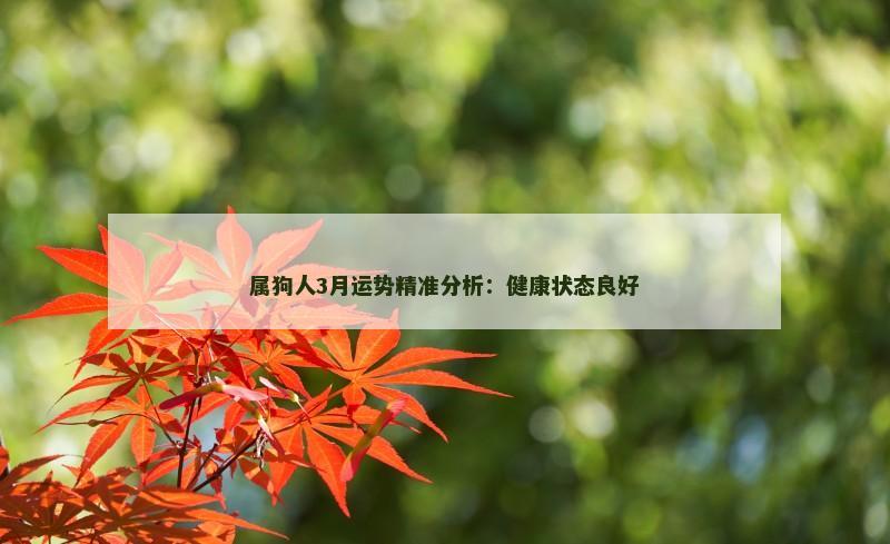 属狗人3月运势精准分析：健康状态良好