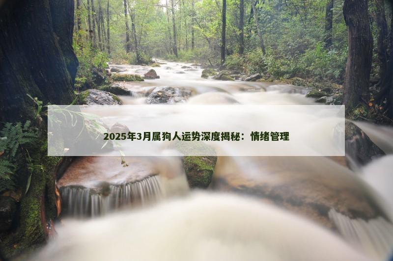2025年3月属狗人运势深度揭秘：情绪管理