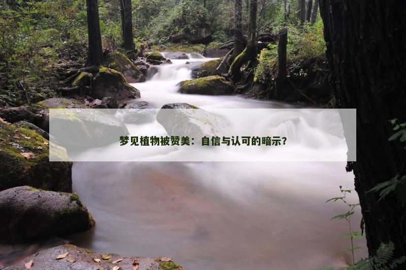 梦见植物被赞美：自信与认可的暗示？