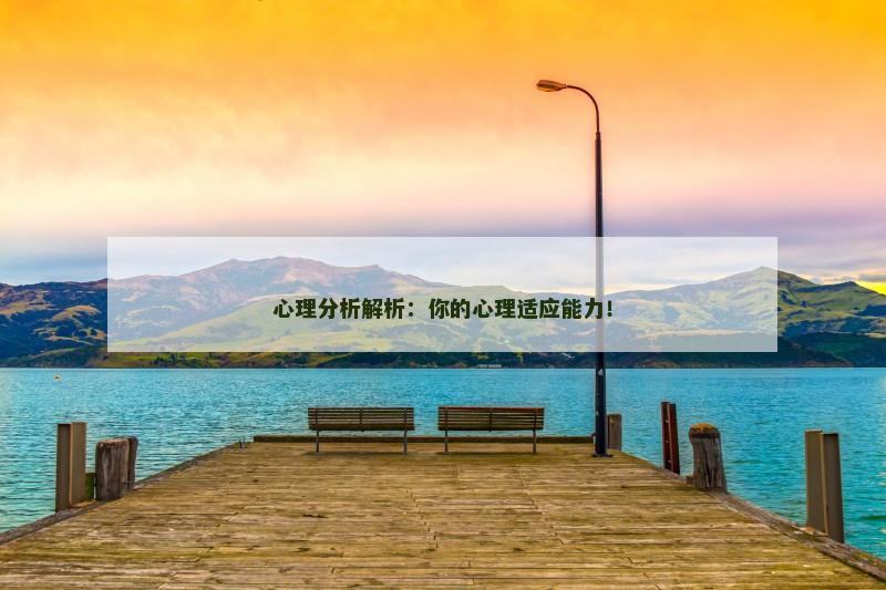 心理分析解析:你的心理适应能力!