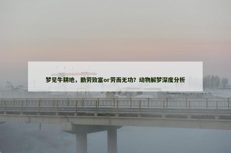 梦见牛耕地，勤劳致富or劳而无功？动物解梦深度分析