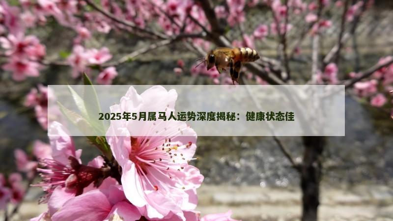 2025年5月属马人运势深度揭秘：健康状态佳