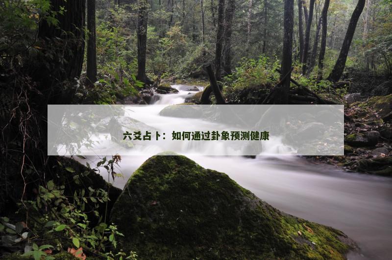 六爻占卜:如何通过卦象预测健康