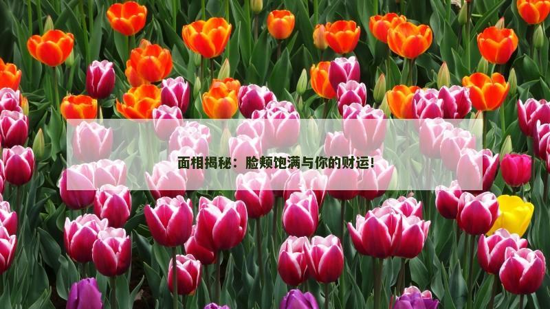 面相揭秘:脸颊饱满与你的财运!