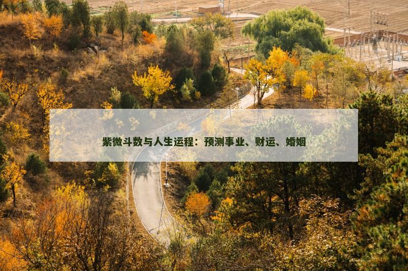 紫微斗数与人生运程:预测事业、财运、婚姻