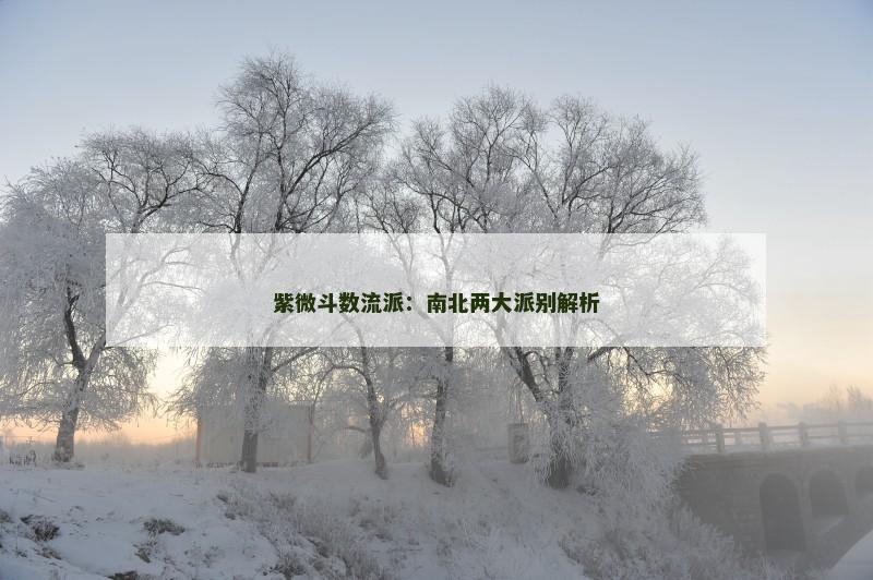 紫微斗数流派:南北两大派别解析