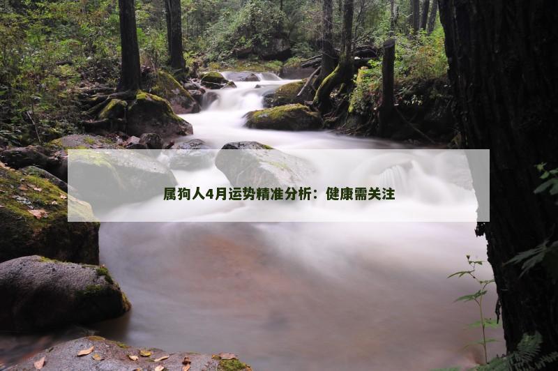 属狗人4月运势精准分析：健康需关注