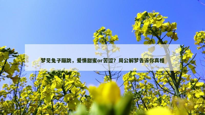 梦见兔子蹦跳，爱情甜蜜or苦涩？周公解梦告诉你真相
