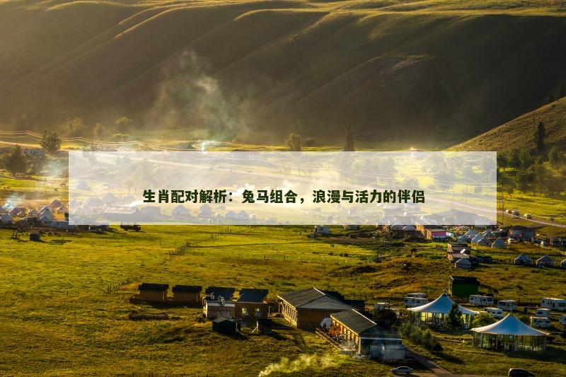 生肖配对解析：兔马组合，浪漫与活力的伴侣
