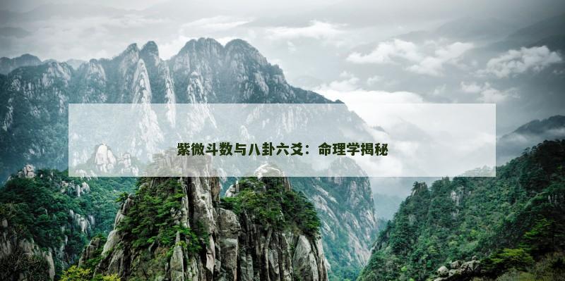 紫微斗数与八卦六爻:命理学揭秘