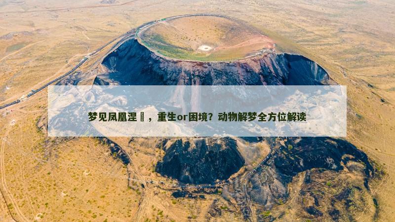 梦见凤凰涅槃，重生or困境？动物解梦全方位解读