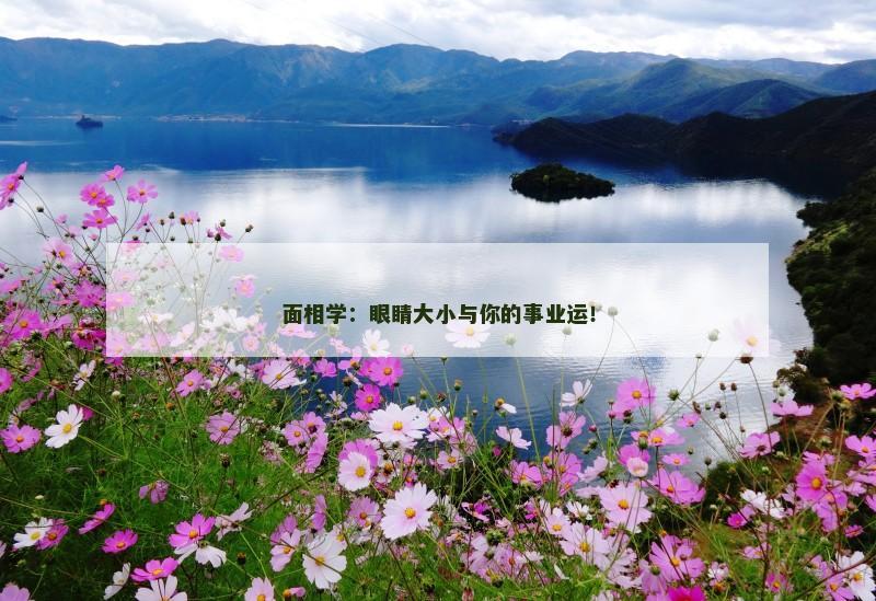 面相学:眼睛大小与你的事业运!