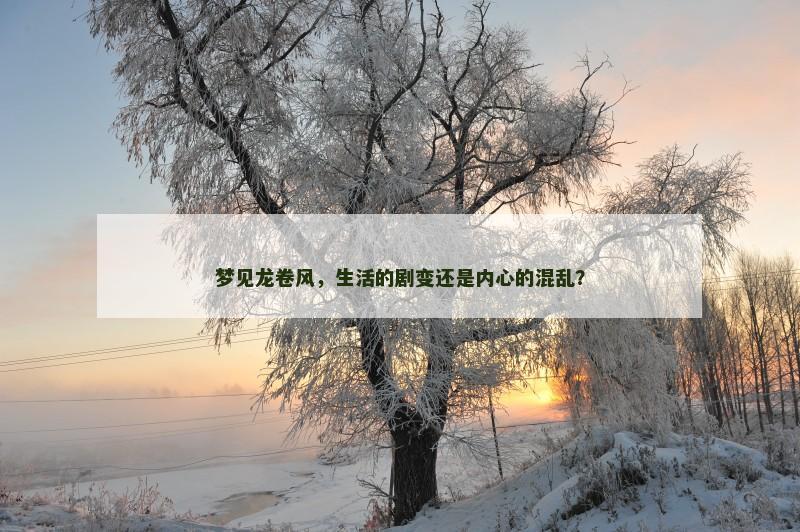 梦见龙卷风,生活的剧变还是内心的混乱?
