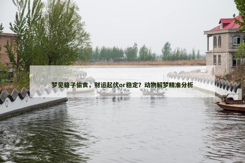 梦见貉子偷食，财运起伏or稳定？动物解梦精准分析