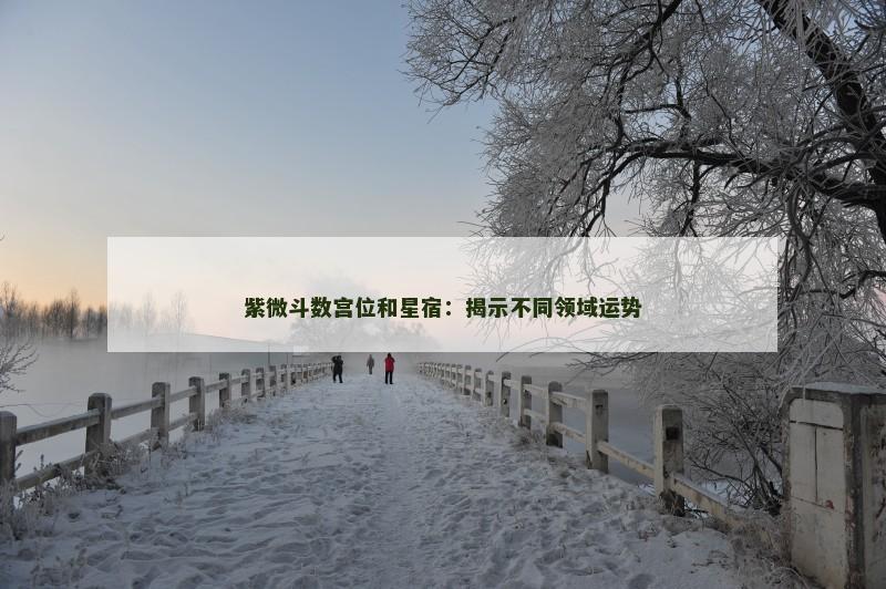 紫微斗数宫位和星宿:揭示不同领域运势