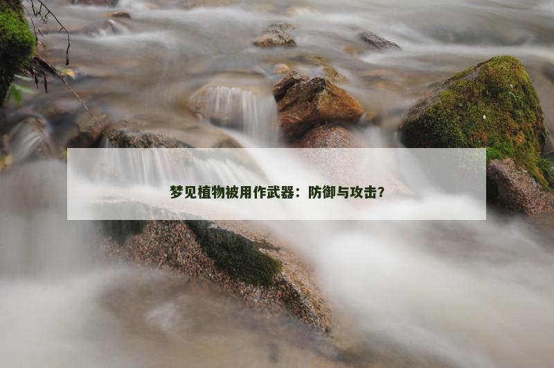 梦见植物被用作武器:防御与攻击?