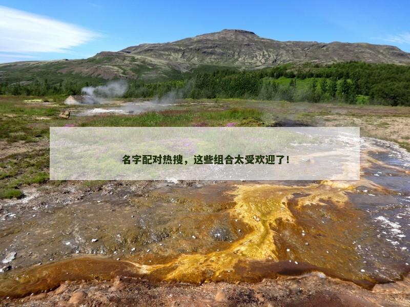 名字配对热搜，这些组合太受欢迎了！