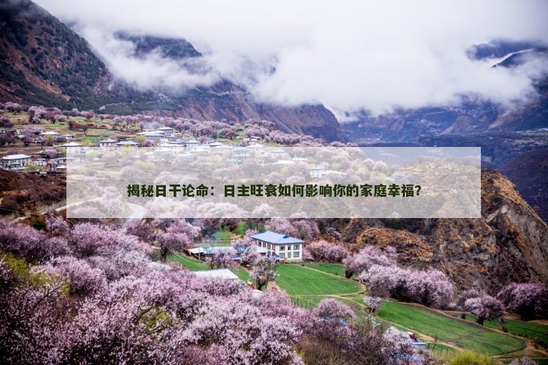 揭秘日干论命：日主旺衰如何影响你的家庭幸福？