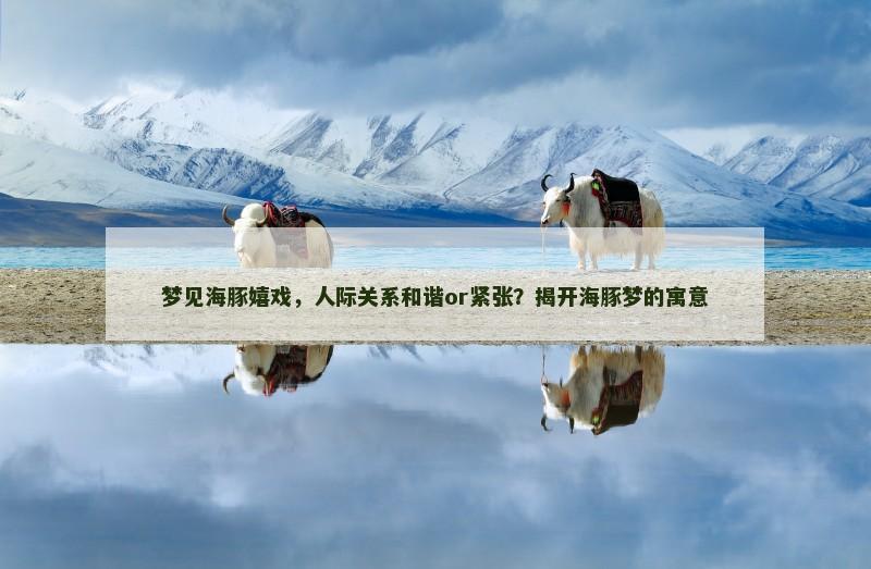 梦见海豚嬉戏，人际关系和谐or紧张？揭开海豚梦的寓意