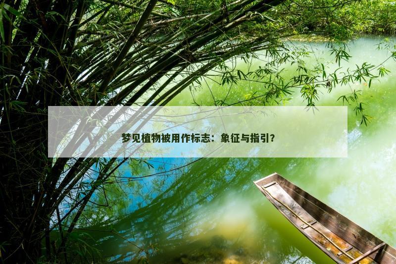 梦见植物被用作标志:象征与指引?