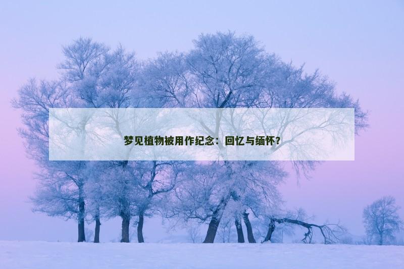 梦见植物被用作纪念:回忆与缅怀?