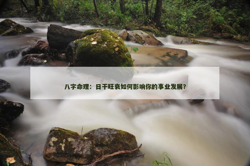 八字命理：日干旺衰如何影响你的事业发展？