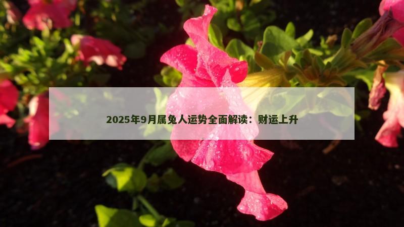 2025年9月属兔人运势全面解读:财运上升