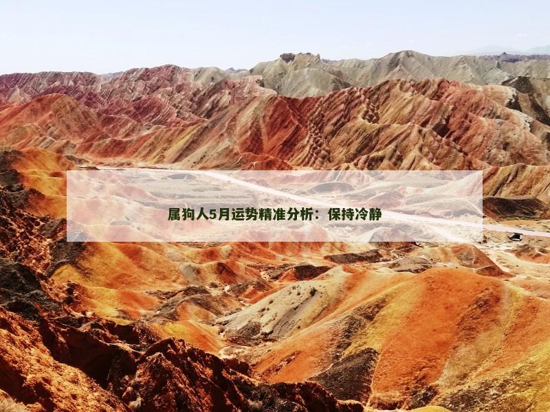 属狗人5月运势精准分析：保持冷静